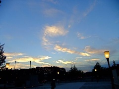 �摜(240x180)�E�g��摜(480x360)