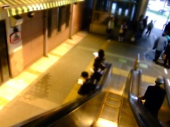 �摜(240x180)�E�g��摜(480x360)