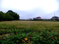 �摜(240x180)�E�g��摜(480x360)