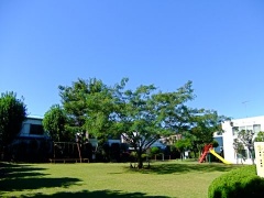 �摜(240x180)�E�g��摜(480x360)