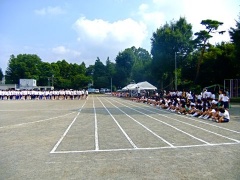 �摜(240x180)�E�g��摜(480x360)