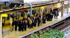 �摜(240x131)�E�g��摜(480x262)