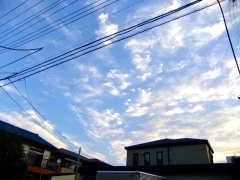 �摜(240x180)�E�g��摜(480x360)