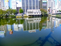 �摜(240x180)�E�g��摜(480x360)