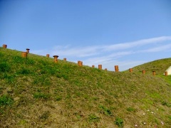 �摜(240x180)�E�g��摜(480x360)