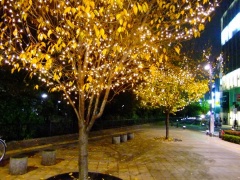 �摜(240x180)�E�g��摜(480x360)