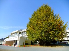 �摜(240x180)�E�g��摜(480x360)