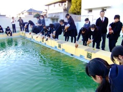 �摜(240x180)�E�g��摜(480x360)