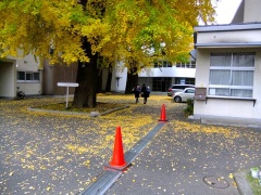 �摜(240x180)�E�g��摜(480x360)