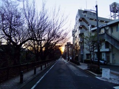 �摜(240x180)�E�g��摜(480x360)