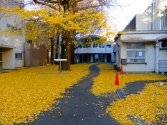 �摜(240x180)�E�g��摜(480x360)