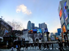 �摜(240x180)�E�g��摜(480x360)