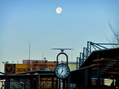 �摜(240x180)�E�g��摜(480x360)