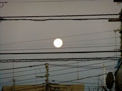 �摜(240x180)�E�g��摜(480x360)