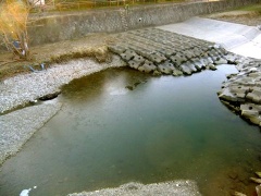 �摜(240x180)�E�g��摜(480x360)