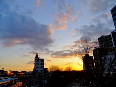 �摜(240x180)�E�g��摜(480x360)