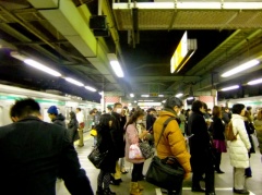 �摜(240x179)�E�g��摜(640x479)