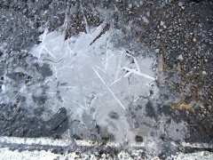 �摜(240x180)�E�g��摜(480x360)