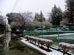 画像(240x180)・拡大画像(480x360)