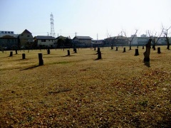 画像(240x180)・拡大画像(480x360)