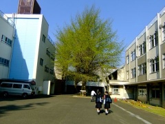 �摜(240x180)�E�g��摜(480x360)