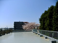 �摜(240x180)�E�g��摜(480x360)