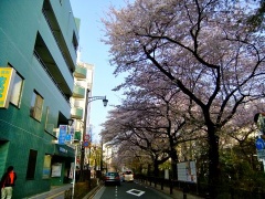 �摜(240x180)�E�g��摜(480x360)