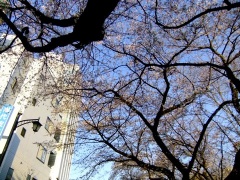 �摜(240x180)�E�g��摜(480x360)