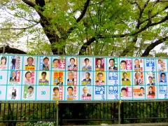 �摜(240x180)�E�g��摜(480x360)