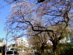 �摜(240x180)�E�g��摜(480x360)