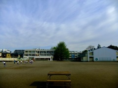 �摜(240x180)�E�g��摜(480x360)