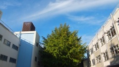 �摜(240x135)�E�g��摜(480x270)