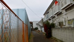 �摜(240x135)�E�g��摜(360x203)