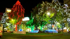 �摜(240x135)�E�g��摜(480x270)