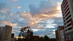 �摜(240x135)�E�g��摜(480x270)