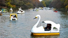 �摜(240x135)�E�g��摜(480x270)