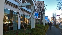 �摜(240x135)�E�g��摜(480x270)