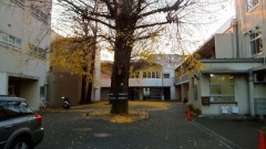 �摜(240x135)�E�g��摜(480x270)