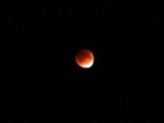 �摜(240x180)�E�g��摜(480x360)