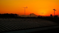 �摜(240x135)�E�g��摜(480x270)