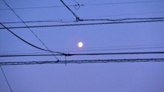 �摜(240x135)�E�g��摜(480x270)