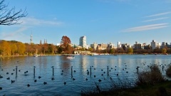 �摜(240x135)�E�g��摜(480x270)