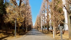 �摜(240x135)�E�g��摜(480x270)