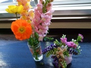 画像(180x135)・拡大画像(400x300)