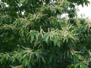 �摜(180x135)�E�g��摜(400x300)