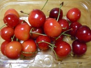 �摜(180x135)�E�g��摜(400x300)