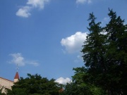 �摜(180x135)�E�g��摜(400x300)