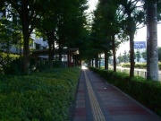 �摜(180x135)�E�g��摜(400x300)