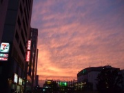 �摜(180x135)�E�g��摜(400x300)