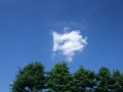 �摜(180x135)�E�g��摜(400x300)